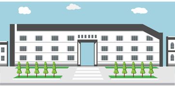 开云体育app在线-高校体育学科建设与科研产出分析，高校体育学科建设与科研产出分析报告